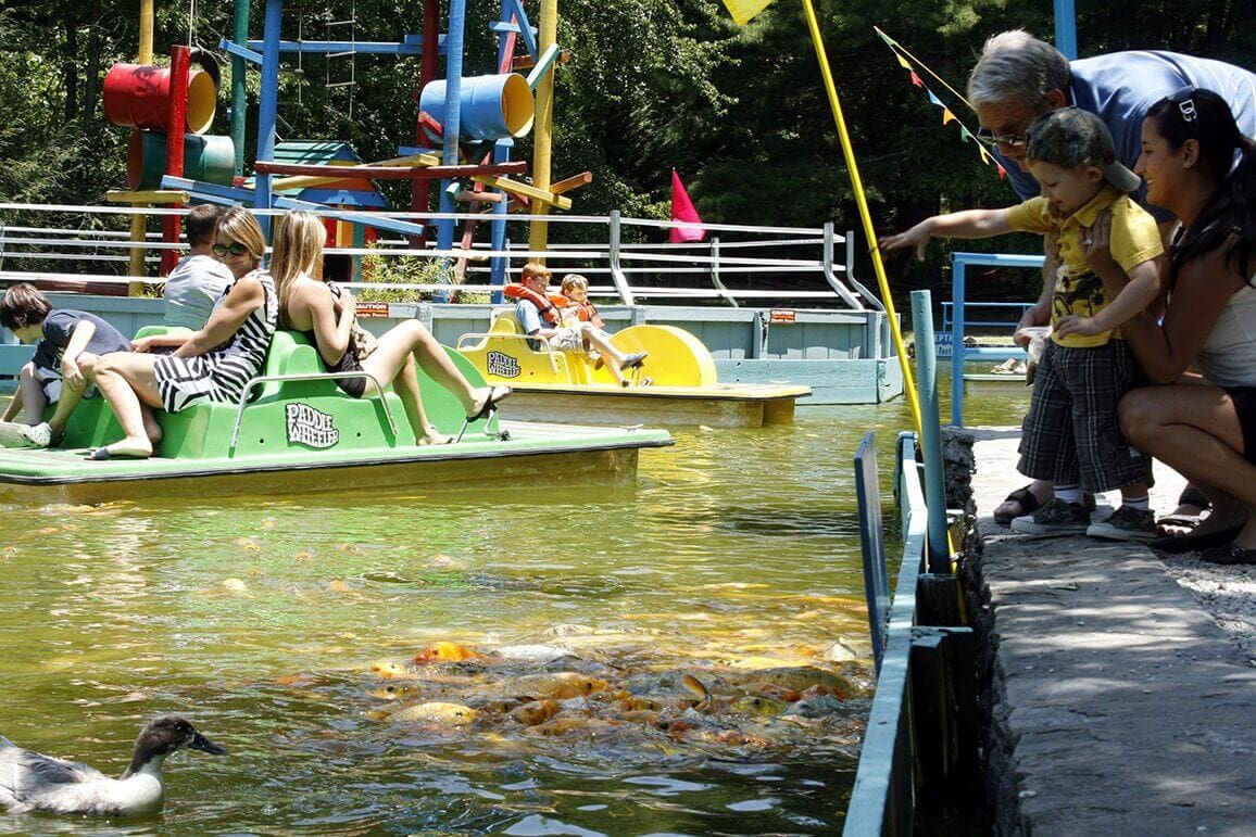 Children enjoying paddle boating on a sunny day in a park pond.